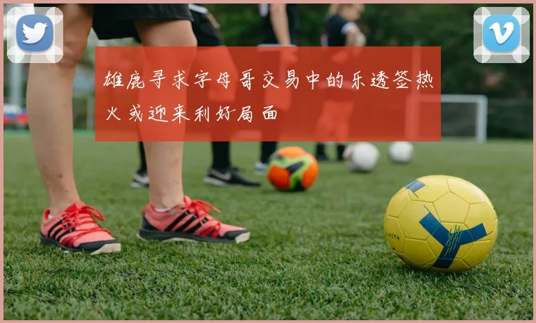 雄鹿寻求字母哥交易中的乐透签热火或迎来利好局面